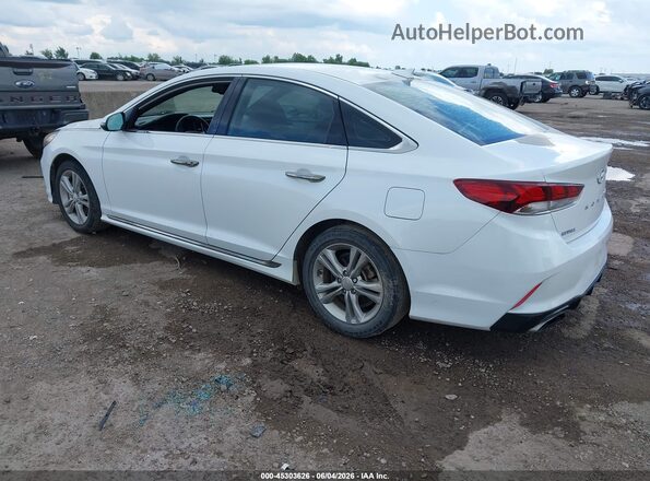 5NPE34AF7KH743879 2019 HYUNDAI SONATA Белый Задняя левая четверть