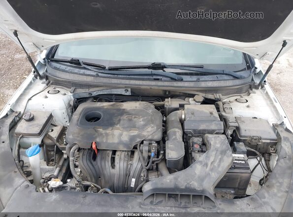 5NPE34AF7KH743879 2019 HYUNDAI SONATA Белый Вид сзади