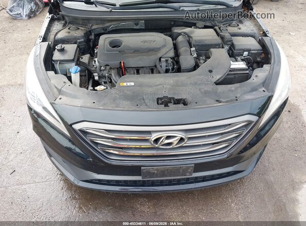 5NPE34AF8GH423591 2016 HYUNDAI SONATA Black Rear view