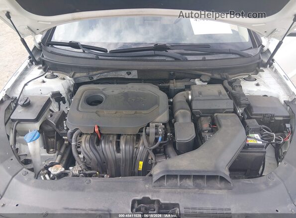 5NPE34AF8JH689555 2018 HYUNDAI SONATA White Вид ззаду
