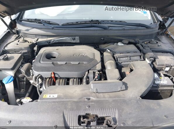 5NPE34AF9GH288136 2016 HYUNDAI SONATA Black Widok z tyłu