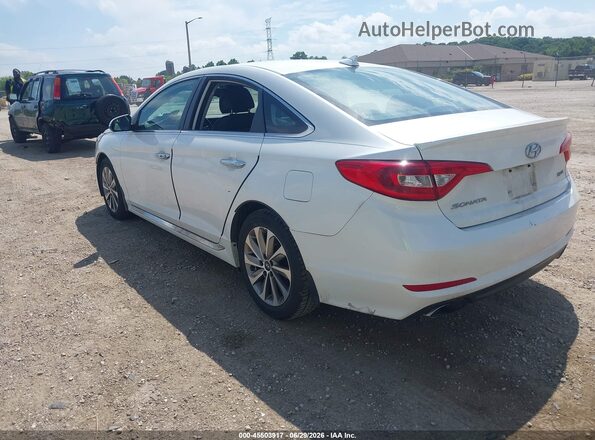 5NPE34AF9HH471019 2017 HYUNDAI SONATA White უკანა მარცხენა