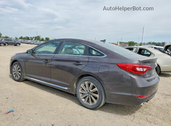 5NPE34AF9HH535172 2017 HYUNDAI SONATA Brown უკანა მარცხენა