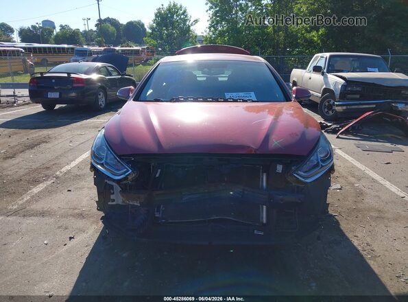 5NPE34AF9JH658993 2018 HYUNDAI SONATA Red Widok wnętrza z tyłu