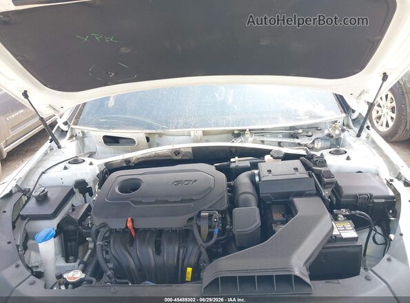 5NPE34AF9JH682601 2018 HYUNDAI SONATA Белый Вид сзади