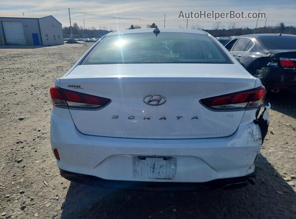 5NPE34AF9KH733175 2019 HYUNDAI SONATA White 