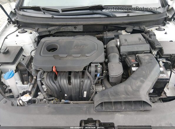 5NPE34AF9KH772381 2019 HYUNDAI SONATA Белый Вид сзади