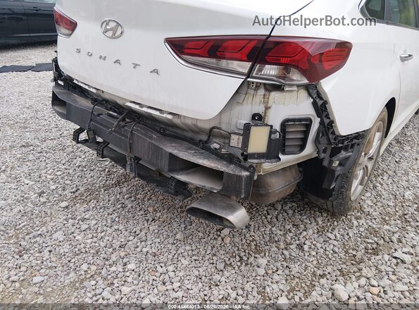 5NPE34AF9KH772381 2019 HYUNDAI SONATA Белый Вид спереди