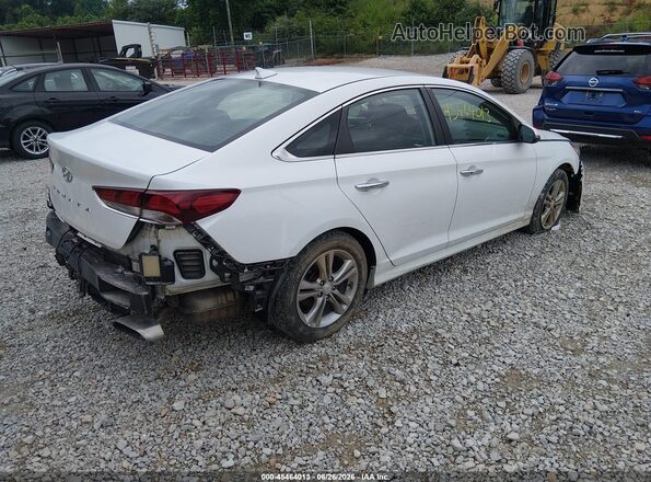 5NPE34AF9KH772381 2019 HYUNDAI SONATA Белый Задняя правая четверть