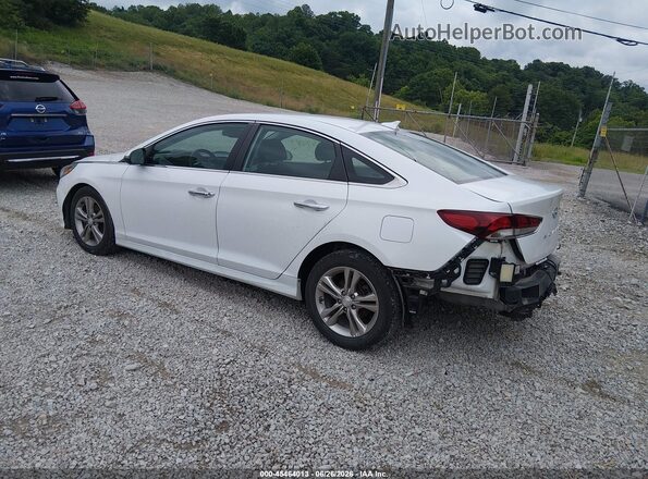 5NPE34AF9KH772381 2019 HYUNDAI SONATA Белый Задняя левая четверть