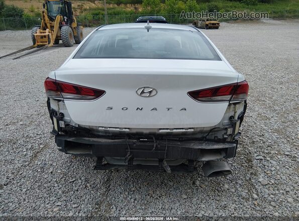 5NPE34AF9KH772381 2019 HYUNDAI SONATA Белый 