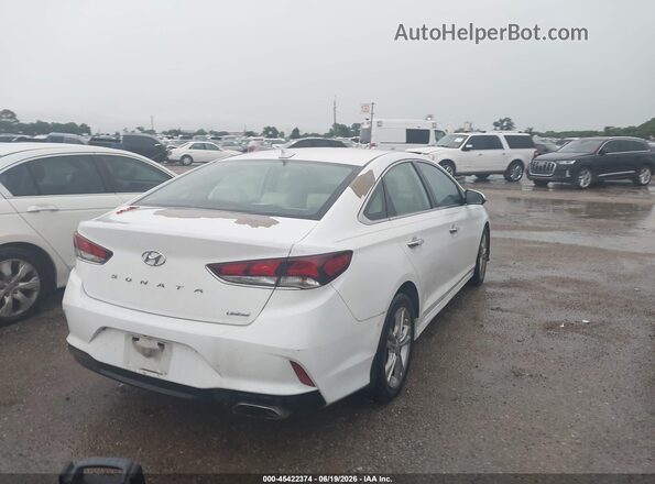 5NPE34AF9KH789990 2019 HYUNDAI SONATA White Tył prawy