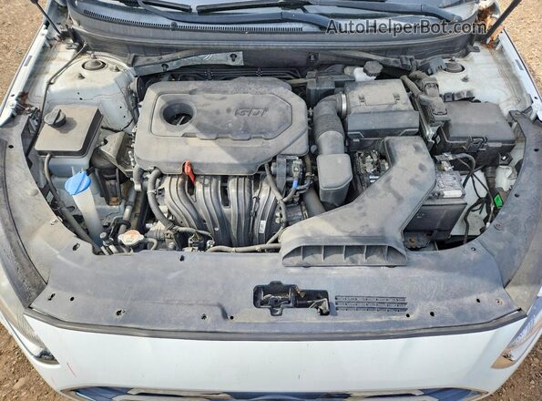 5NPE34AF9KH808568 2019 HYUNDAI SONATA White Սալոնի հետևի տեսք