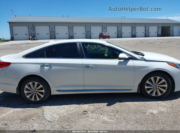 5NPE34AFXGH283916 2016 HYUNDAI SONATA Белый Вид задней части салона