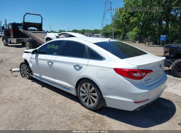 5NPE34AFXGH283916 2016 HYUNDAI SONATA Белый Задняя левая четверть