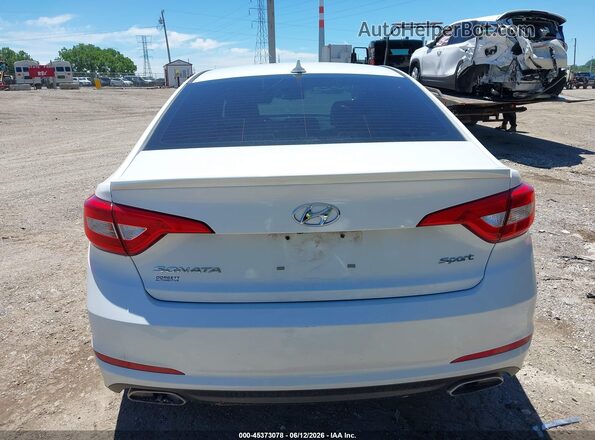 5NPE34AFXGH283916 2016 HYUNDAI SONATA Белый 