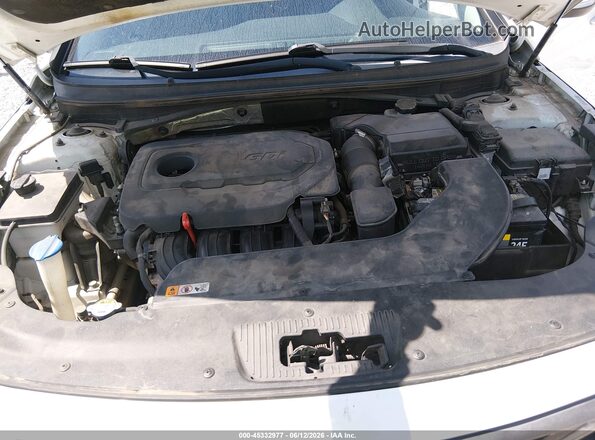 5NPE34AFXGH332970 2016 HYUNDAI SONATA Белый Вид сзади