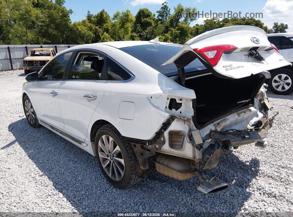 5NPE34AFXGH332970 2016 HYUNDAI SONATA Белый Задняя левая четверть