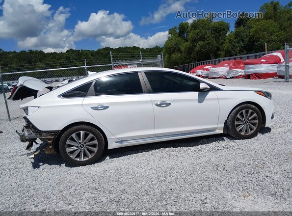 5NPE34AFXGH332970 2016 HYUNDAI SONATA Белый Вид задней части салона