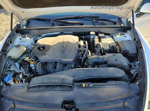 5NPEF4JA3LH052099 2020 HYUNDAI SONATA White Սալոնի հետևի տեսք