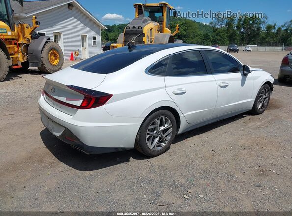 5NPEF4JA8LH051062 2020 HYUNDAI SONATA White Հետևի նստատեղերի տեսք