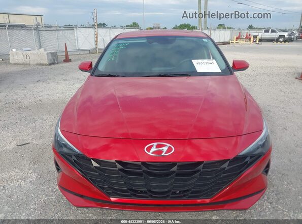 5NPLL4AG9MH051044 2021 HYUNDAI ELANTRA Red Widok wnętrza z tyłu