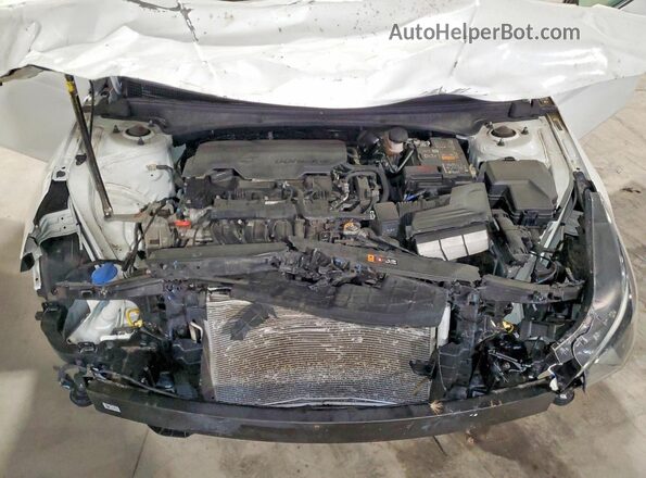 5NPLM4AG5PH103867 2023 HYUNDAI ELANTRA Белый Вид задней части салона