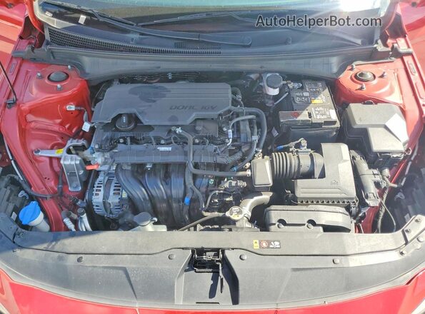 5NPLM4AG6PH103750 2023 HYUNDAI ELANTRA Red Widok wnętrza z tyłu