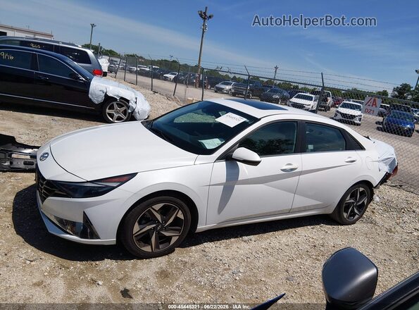 5NPLP4AG1MH024120 2021 HYUNDAI ELANTRA White Սալոնի հետևի տեսք