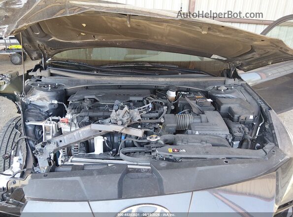 5NPLS4AG8PH106638 2023 HYUNDAI ELANTRA Gray Widok z tyłu