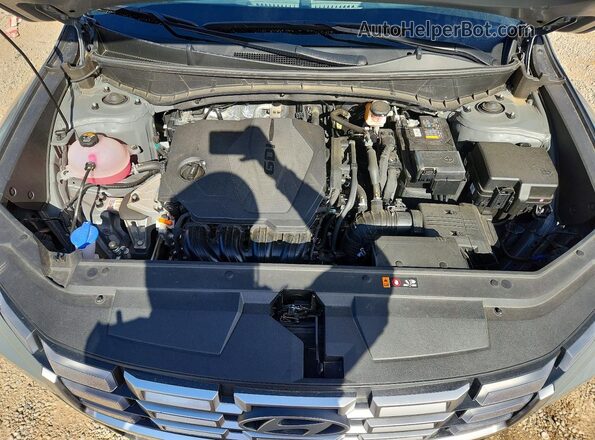 5NTJA4DEXSH137355 2025 HYUNDAI SANTA Gray Սալոնի հետևի տեսք