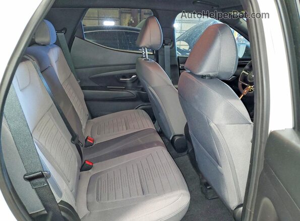 5NTJADAE6RH077749 2024 HYUNDAI SANTA White უკანა სავარძლების ხედი
