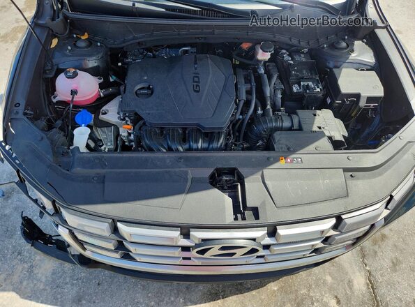5NTJB4DE9SH137375 2025 HYUNDAI SANTA Black 