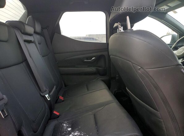 5NTJBDDEXSH148627 2025 HYUNDAI SANTA Gray Вид задніх сидінь