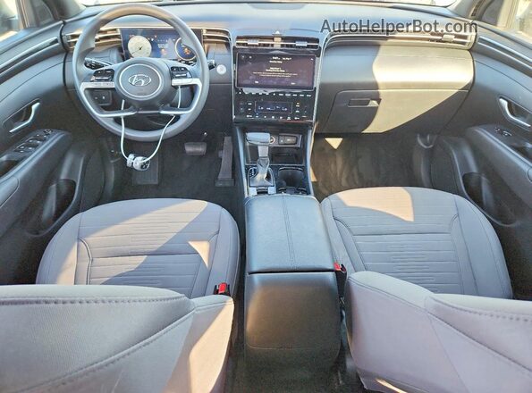 5NTJCDAE2RH097412 2024 HYUNDAI SANTA Blue 
