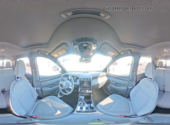 5NTJCDAE2RH097412 2024 HYUNDAI SANTA Blue 