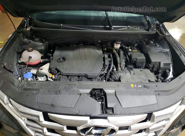 5NTJCDAE4RH096875 2024 HYUNDAI SANTA Black Rear interior view