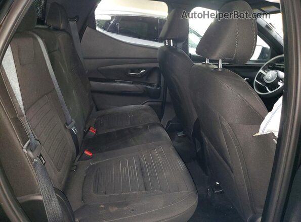 5NTJCDAE4RH096875 2024 HYUNDAI SANTA Black Rear seats view