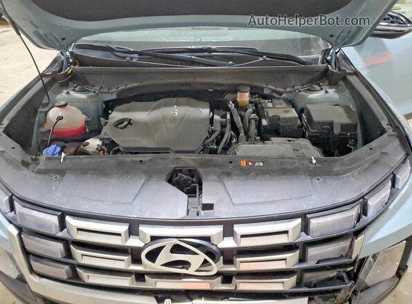 5NTJCDDE2SH130555 2025 HYUNDAI SANTA Blue 