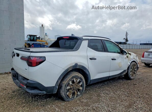 5NTJCDDE4SH139743 2025 HYUNDAI SANTA White უკანა მარჯვენა