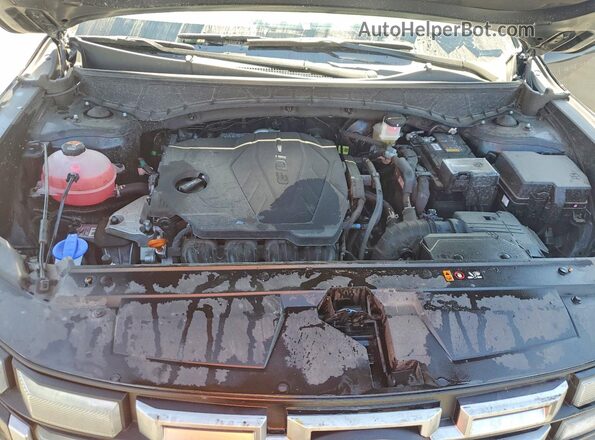 5NTJCDDE9SH153959 2025 HYUNDAI SANTA Black უკანა სალონის ხედი
