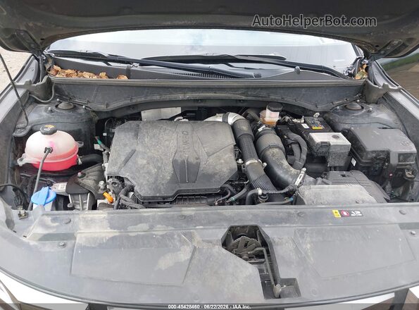 5NTJCDDF5RH103594 2024 HYUNDAI SANTA CRUZ Black Widok z tyłu