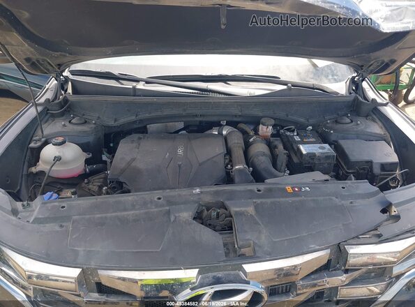 5NTJDDAF3RH090880 2024 HYUNDAI SANTA CRUZ Черный Вид сзади