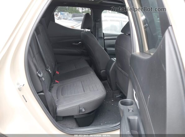 5NTJDDAFXPH047084 2023 HYUNDAI SANTA CRUZ Tan VIN կոդի պիտակի տեսք