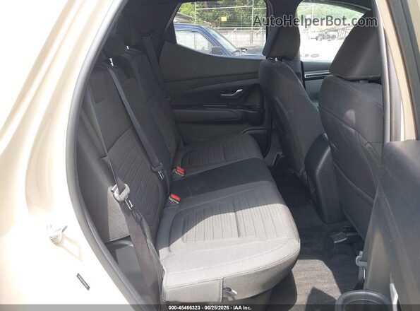 5NTJDDAFXPH053628 2023 HYUNDAI SANTA CRUZ Beige Вид наклейки з VIN-кодом