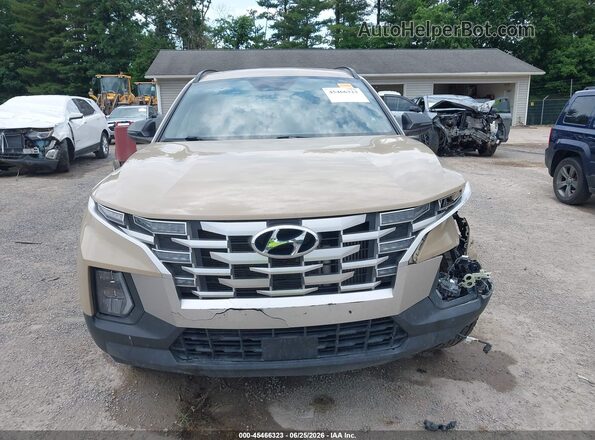 5NTJDDAFXPH053628 2023 HYUNDAI SANTA CRUZ Beige Вид задньої частини салону