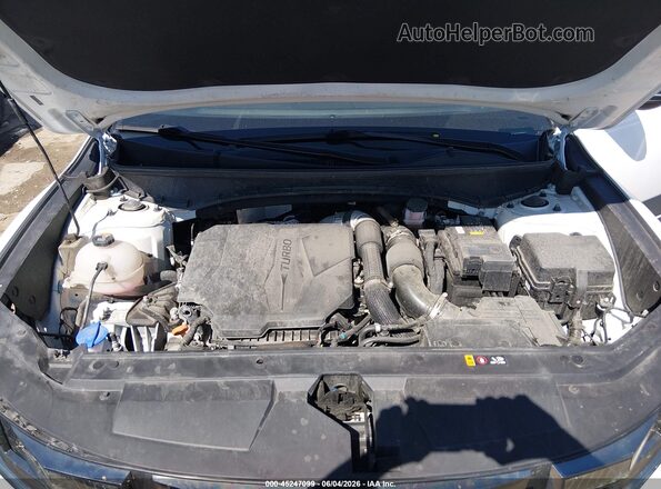 5NTJDDDF5RH108341 2024 HYUNDAI SANTA CRUZ White Հետևի տեսք