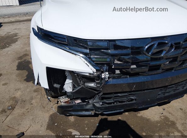 5NTJDDDF5RH108341 2024 HYUNDAI SANTA CRUZ White 