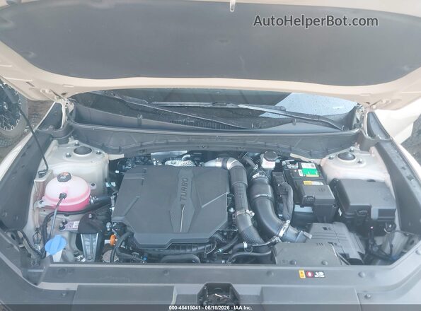 5NTJEDAF1PH059654 2023 HYUNDAI SANTA CRUZ Tan Հետևի տեսք