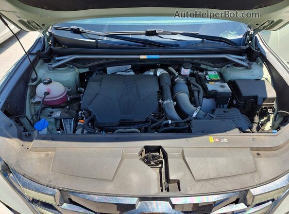 5NTJEDAF4NH016732 2022 HYUNDAI SANTA Green Սալոնի հետևի տեսք